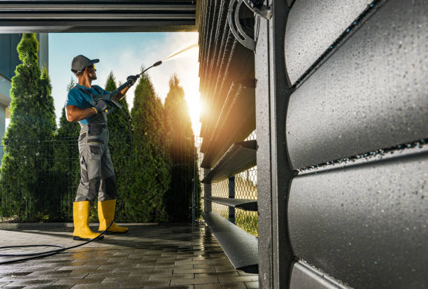 Best Graffiti Removal  in Cortland, NY